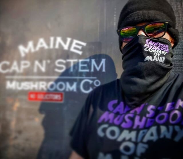 Hope everyone is doing okay out there, these are wild times we are living in! Remember to eat healthy (mushrooms!), exercise (forage!) and get stoked on some radical mycology (grow your own!) OG #masterofmushroom T's are back ( especially for you @st