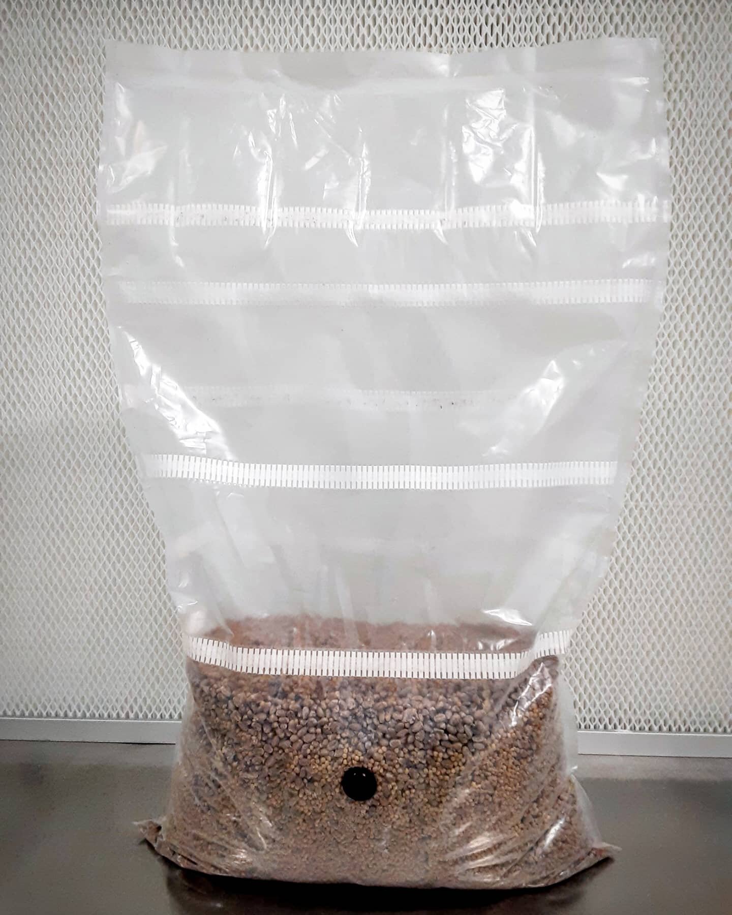 4 PACK - 1lb Organic Rye Berries Mushroom Grain Spawn bags w/ Injection  Ports | eBay