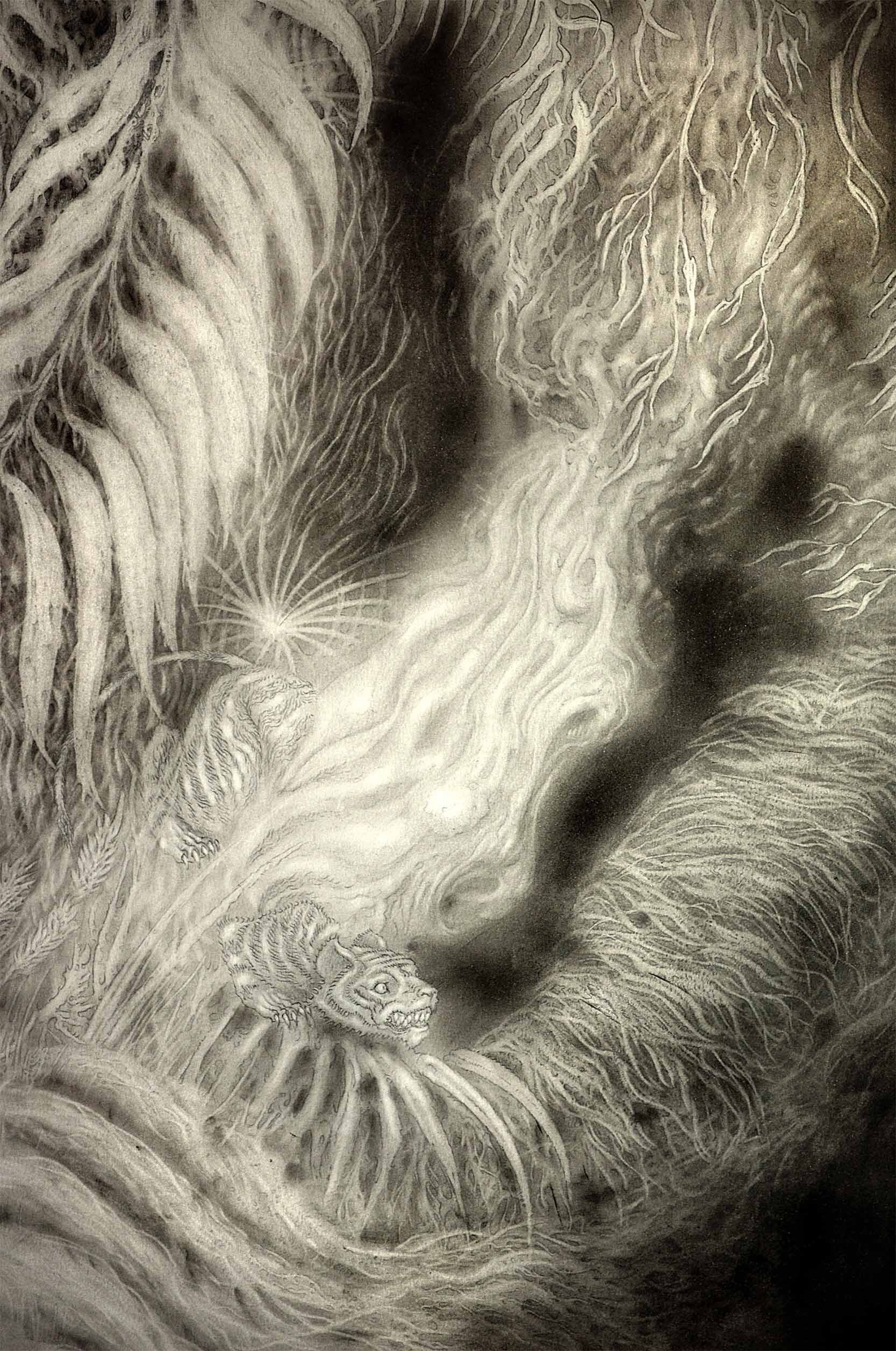 Tiger BurnsCharcoal / Graphite / Paper2018