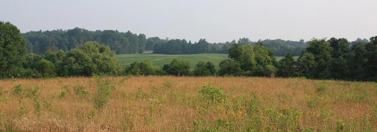 Culpeper Battlefield Tours: 163rd Anniversary of the Battle of Brandy Station