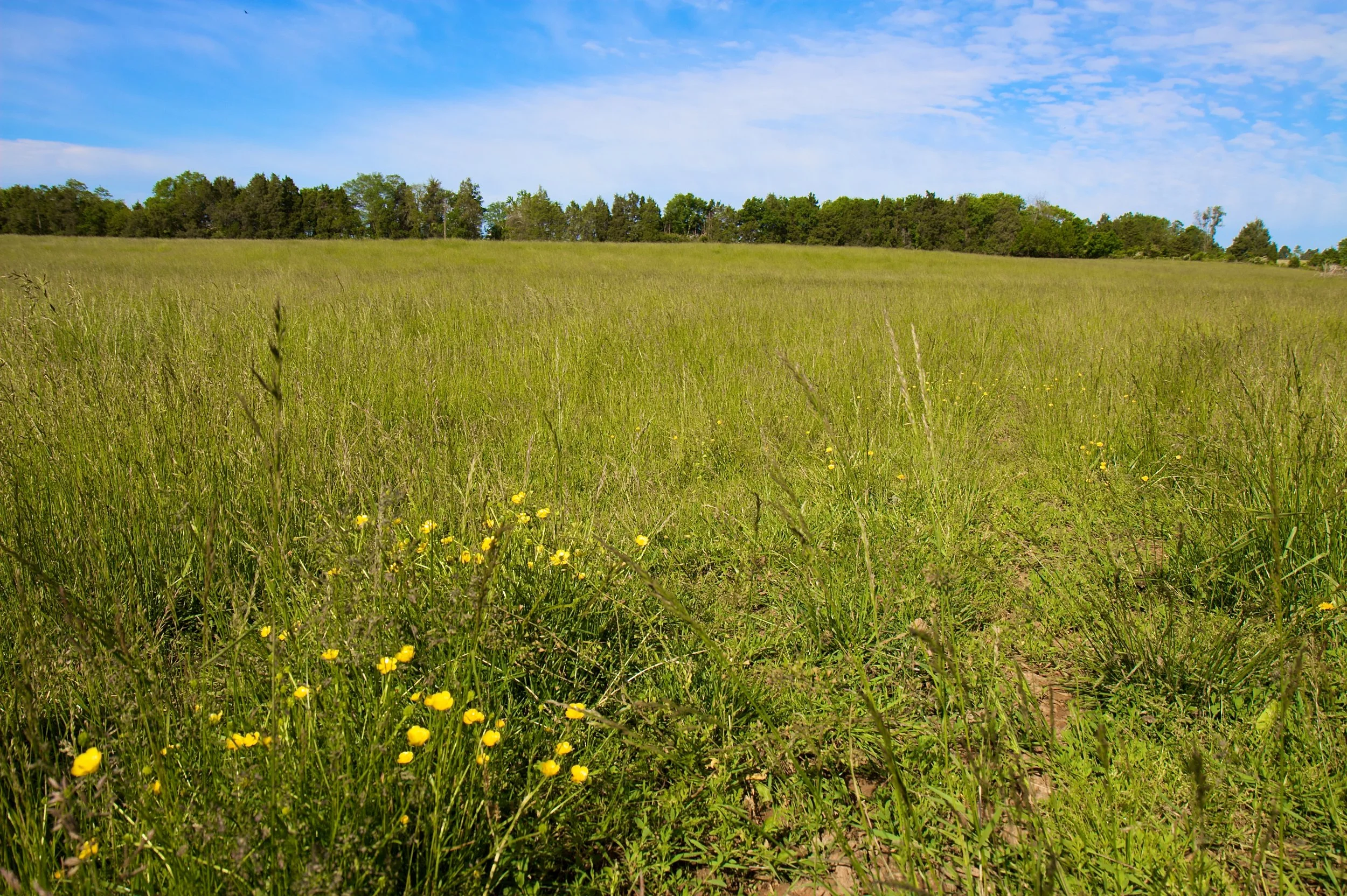 Brandy Station Foundation Annual Meeting & Dinner