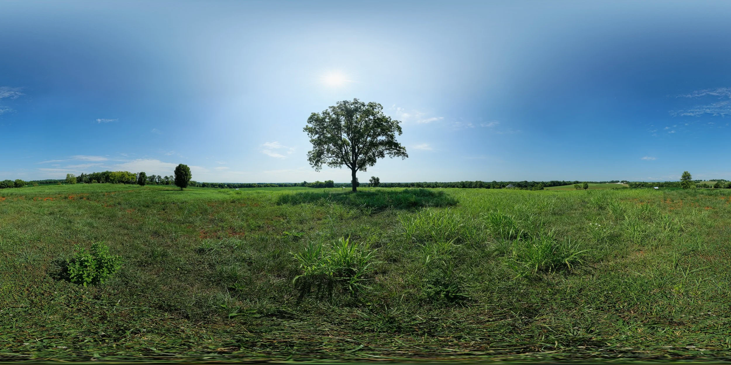 Brandy Station Foundation Speaker Series: PTSD and the End of the Civil War