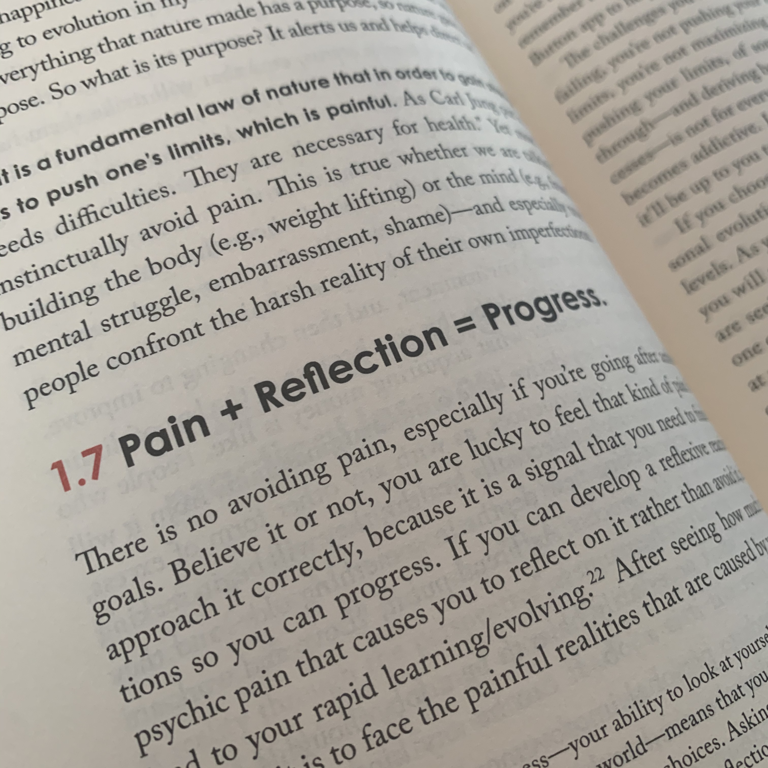 Pain + Reflection = Progress