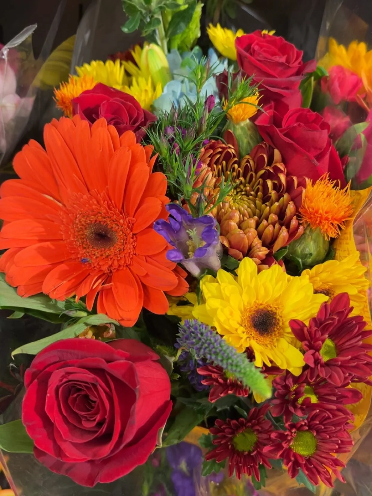 I shifted a huge funk &amp; had a massive shift this morning after some: 

🌺 Beauty 
💕 Flow time 
☀️ Sunshine 
🌊 Ocean time 
💜 Spontaneous adventures
💃🏻 &amp; a dance ritual 

Basically realized I was waaay too in my masculine this week, &amp; 