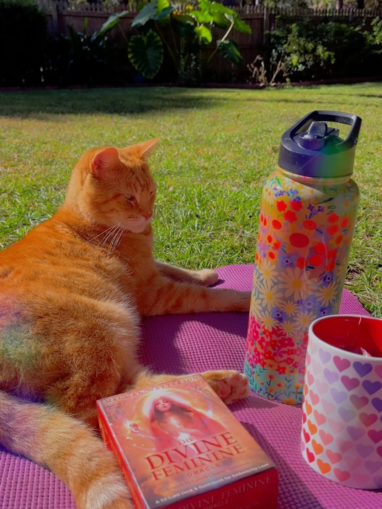 Just some magic moments from my last weekish that made me happy 😍

I thought it&rsquo;d be fun to do this on Venus day to honor love, beauty, &amp; pleasure 🌹🌙

Share some of yours below!!👇🏻 

Obviously you can&rsquo;t share photos in comments o