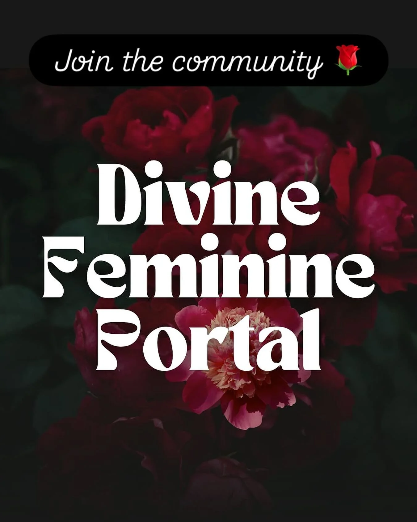 👑 For the woman who knows she&rsquo;s destined for big things, &amp; is ready to claim them 👑

She&rsquo;s gotten a rebrand 💋

This isn&rsquo;t just a community.
It&rsquo;s a transmission.
An activation.
In to your next level.
A rebirth in to your