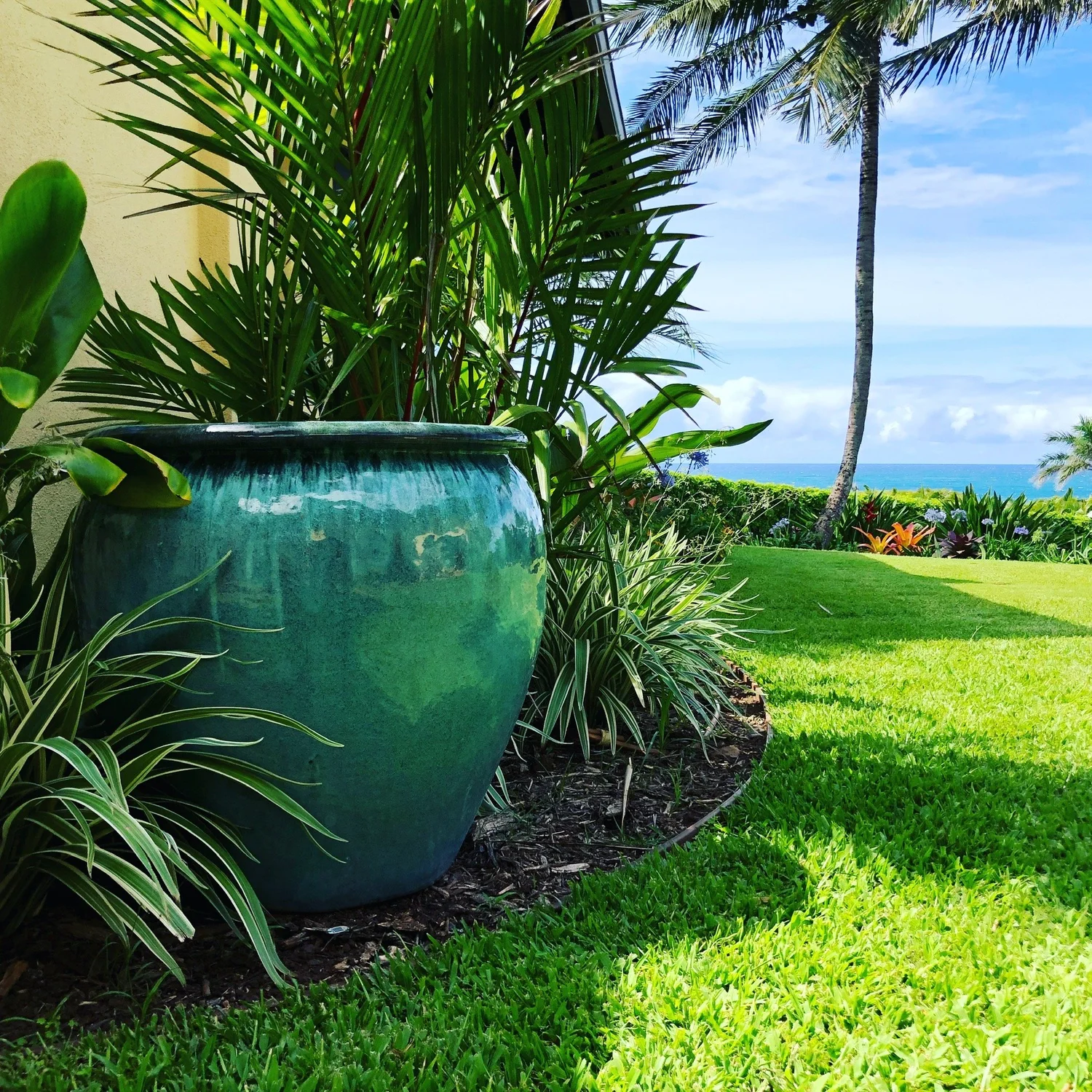 Maui landscape maintained by Blooming Gardens Inc.