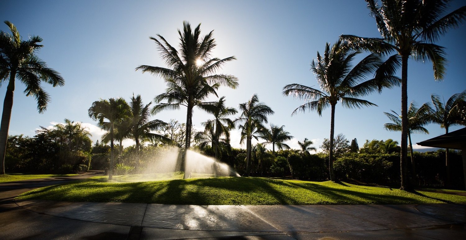 Maui landscape maintained by Blooming Gardens Inc.