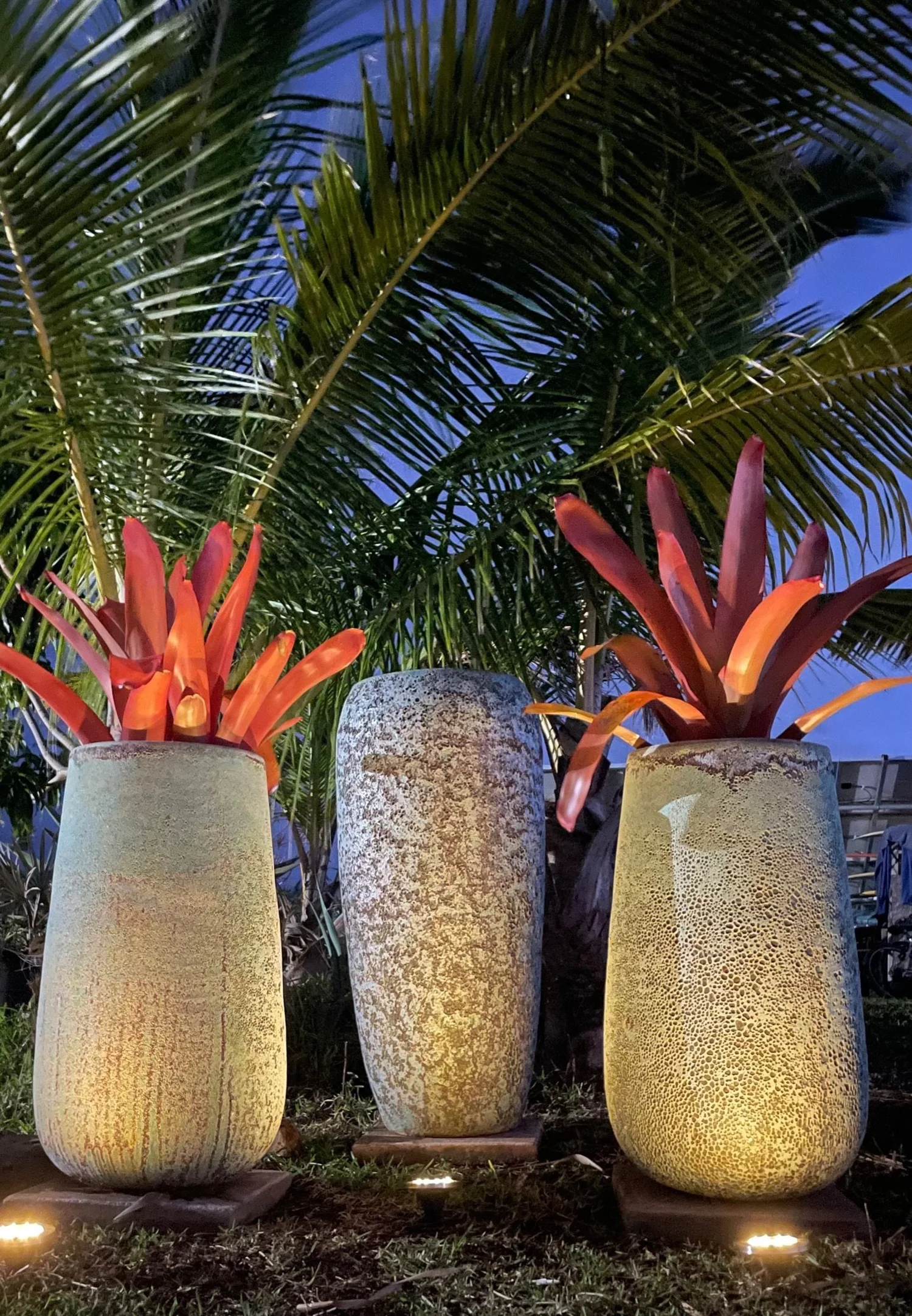 Maui landscape maintained by Blooming Gardens Inc.