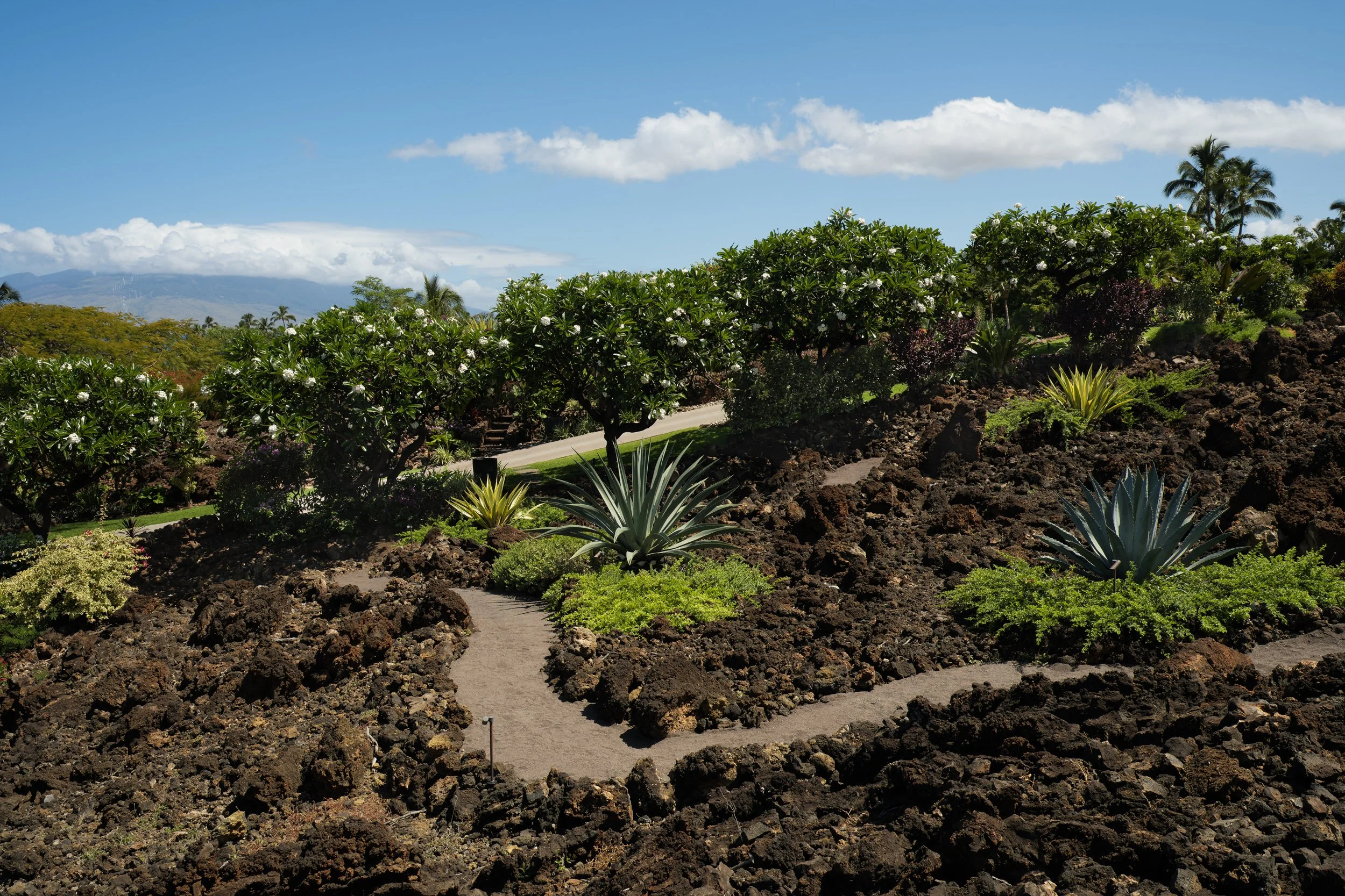 WEB_4541MakenaBG0245.jpg