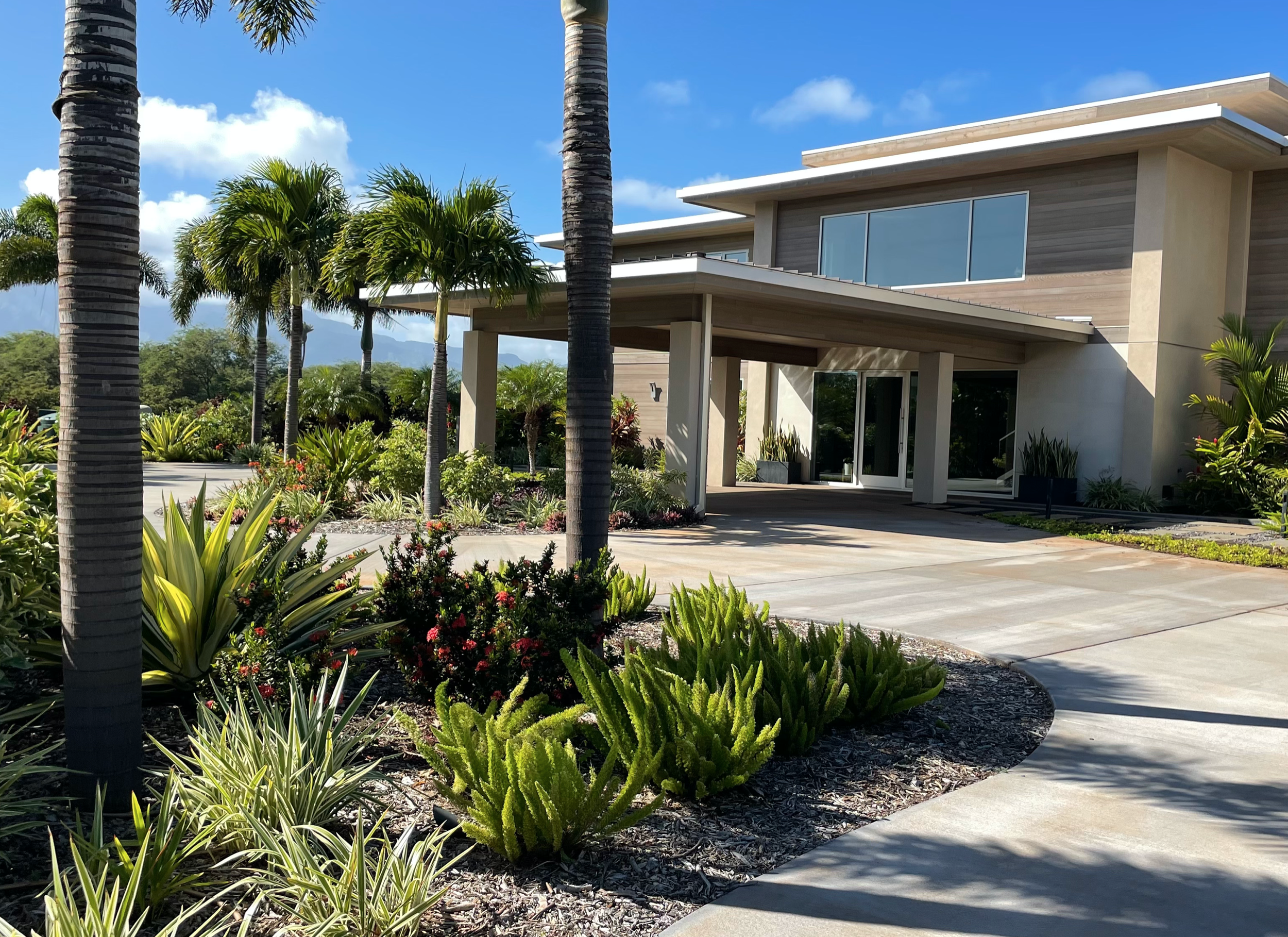 Screen Shot 2025-08-05 at 7.36.06 AM.png