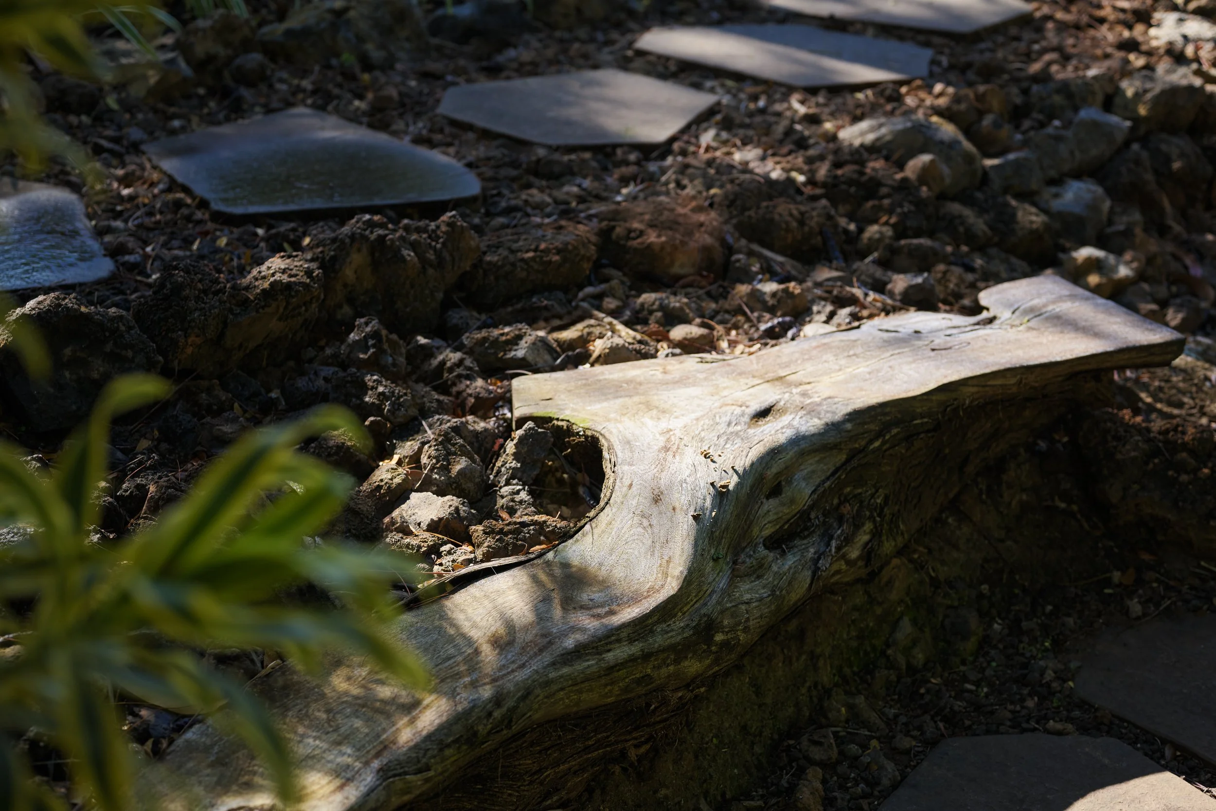 WEB_4541MakenaBG0716.jpg