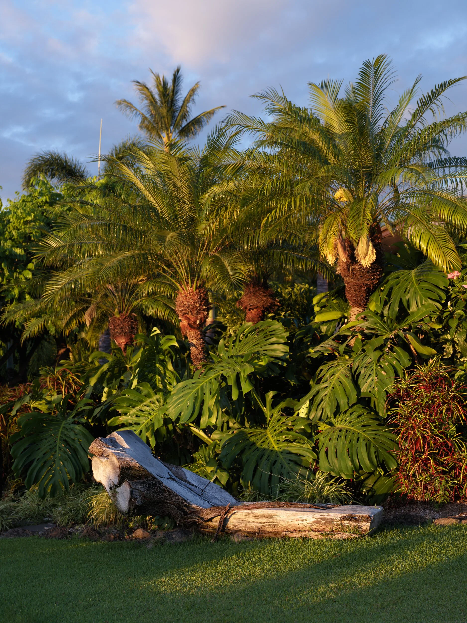 04_WEB_4541MakenaBG0660.jpg