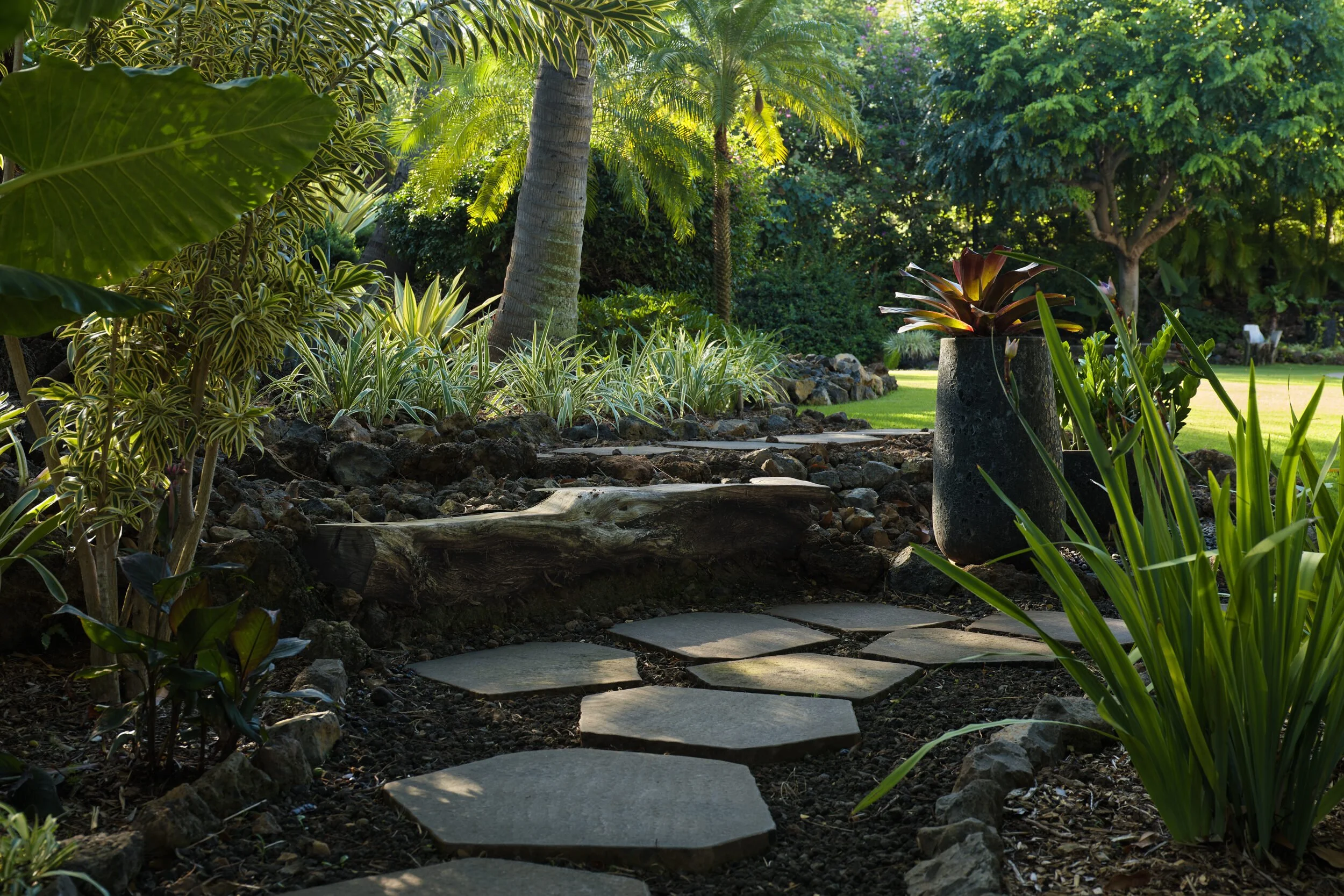 01_WEB_4541MakenaBG0007 2.jpg
