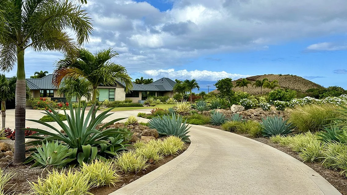 Maui landscape maintained by Blooming Gardens Inc.