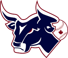 Bulls vs Bombers