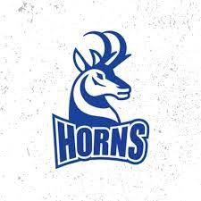 Horns WBBL vs UofC