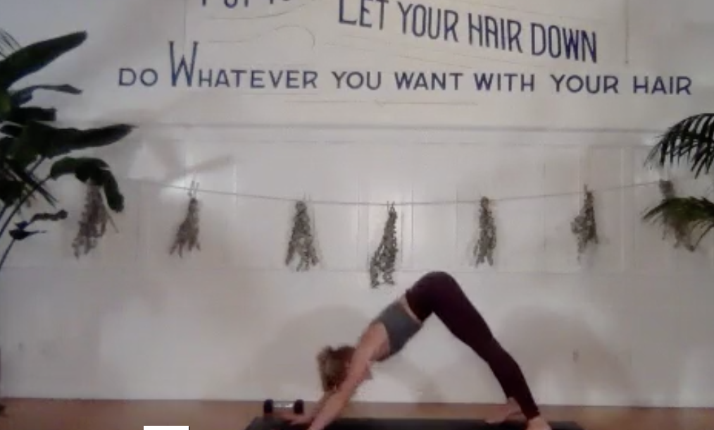 Come Alive with Dani Parker