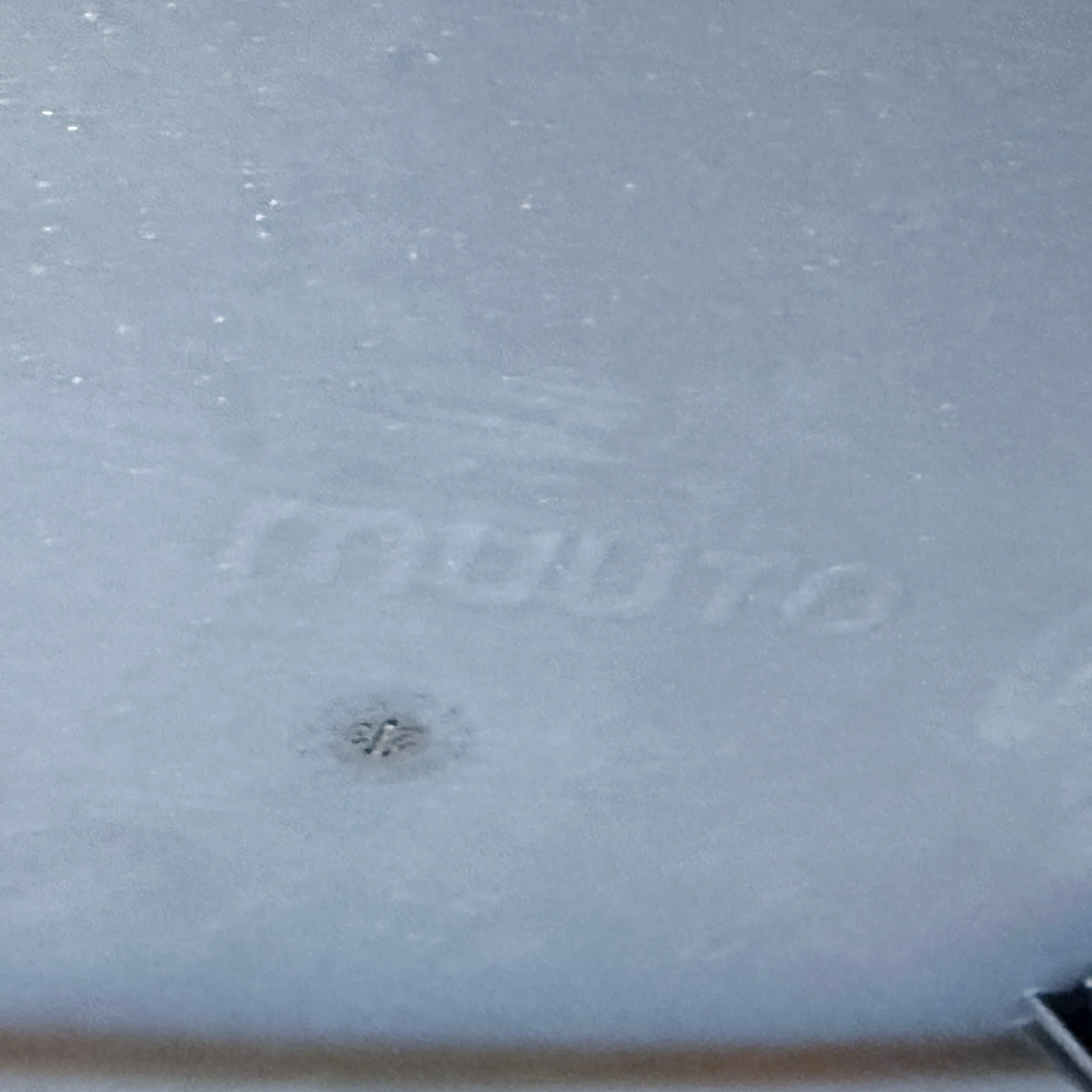 IMG_0266.jpeg