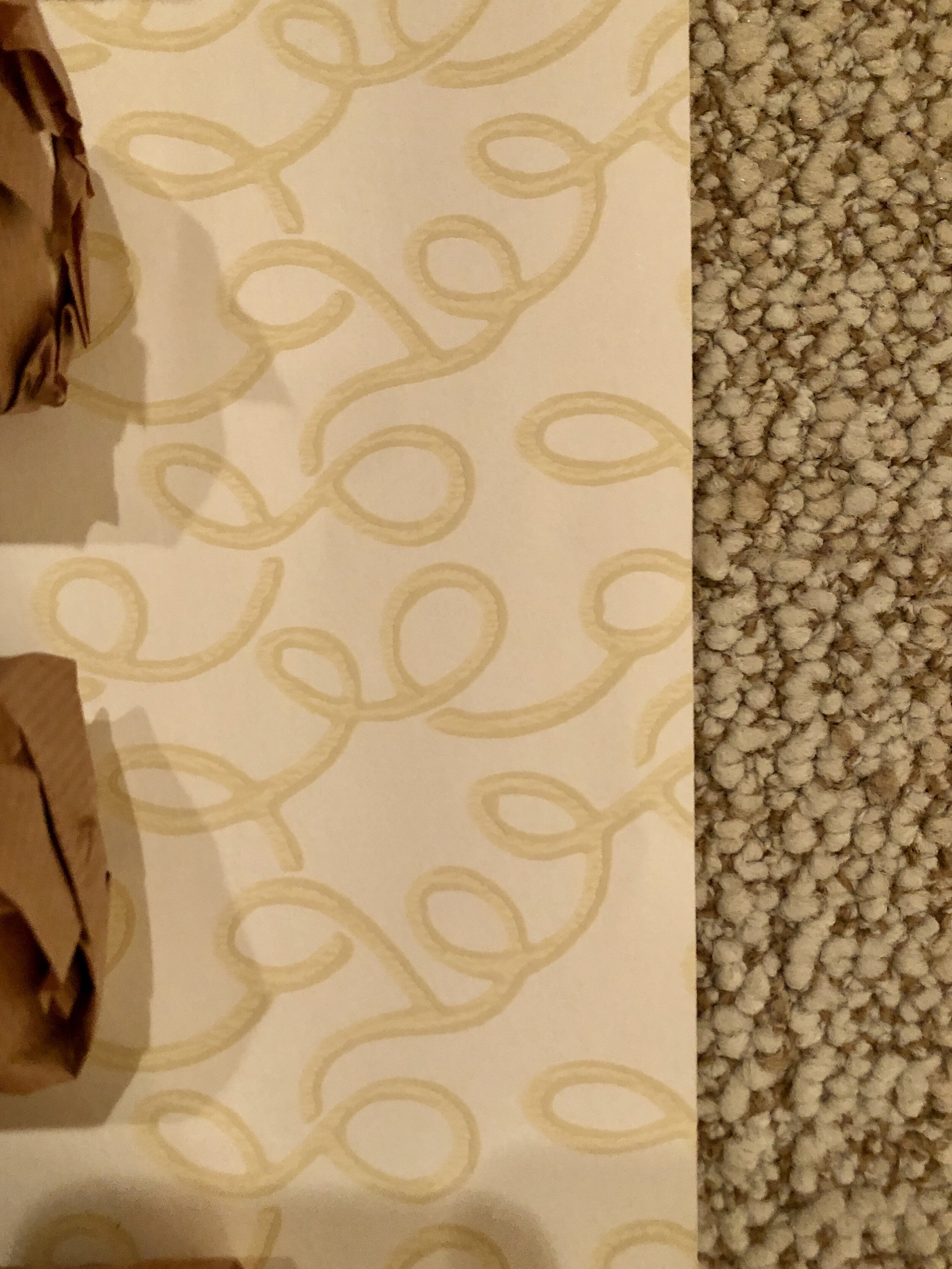 98B09351-097A-4865-8A3D-6C7AB352838C_1_201_a.jpeg
