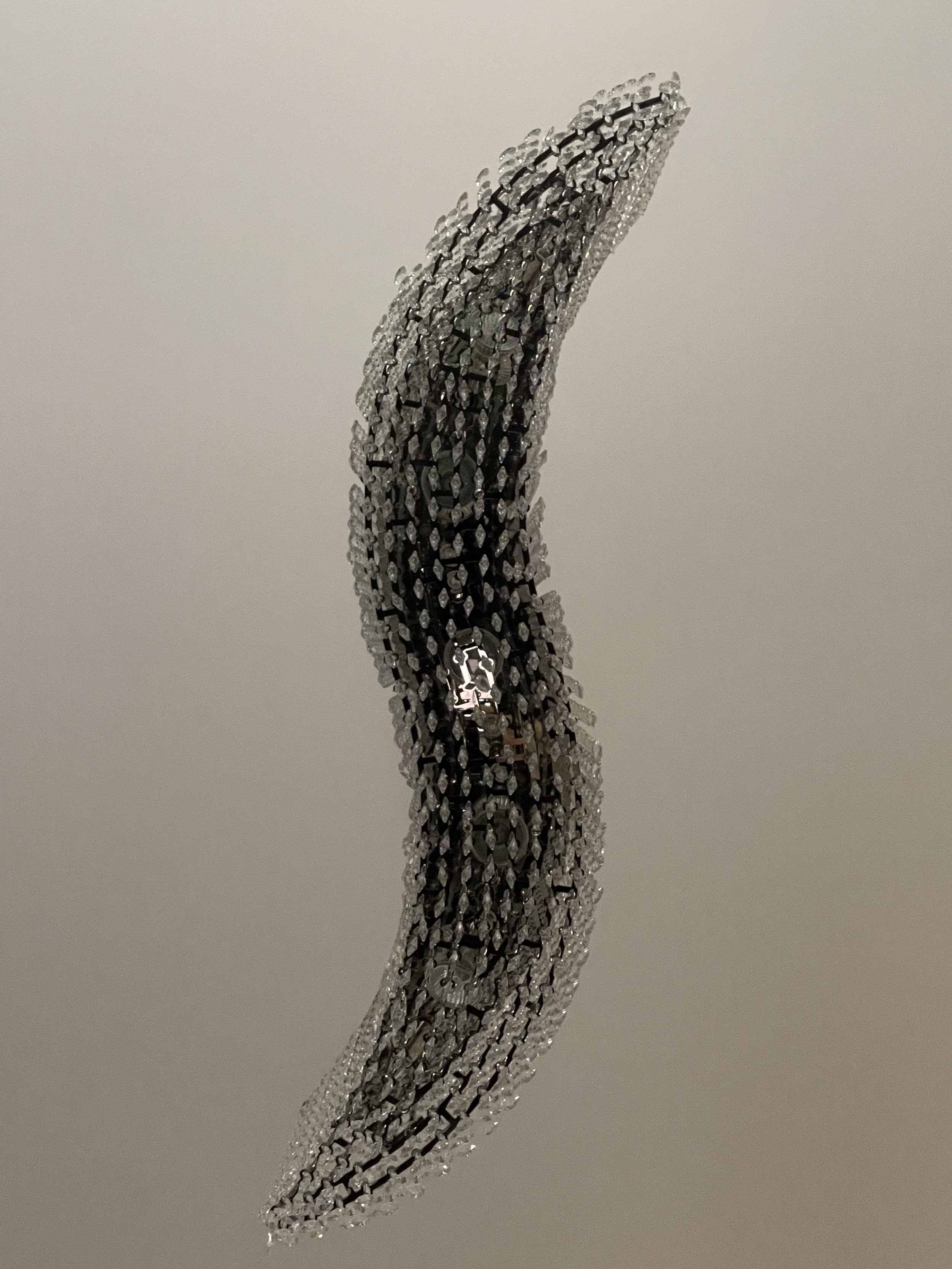 11690441-DF3D-4FAD-A620-1350E6FA8764.jpeg