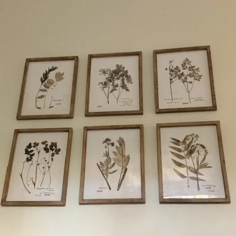 HuffmanBotanicals2.jpeg