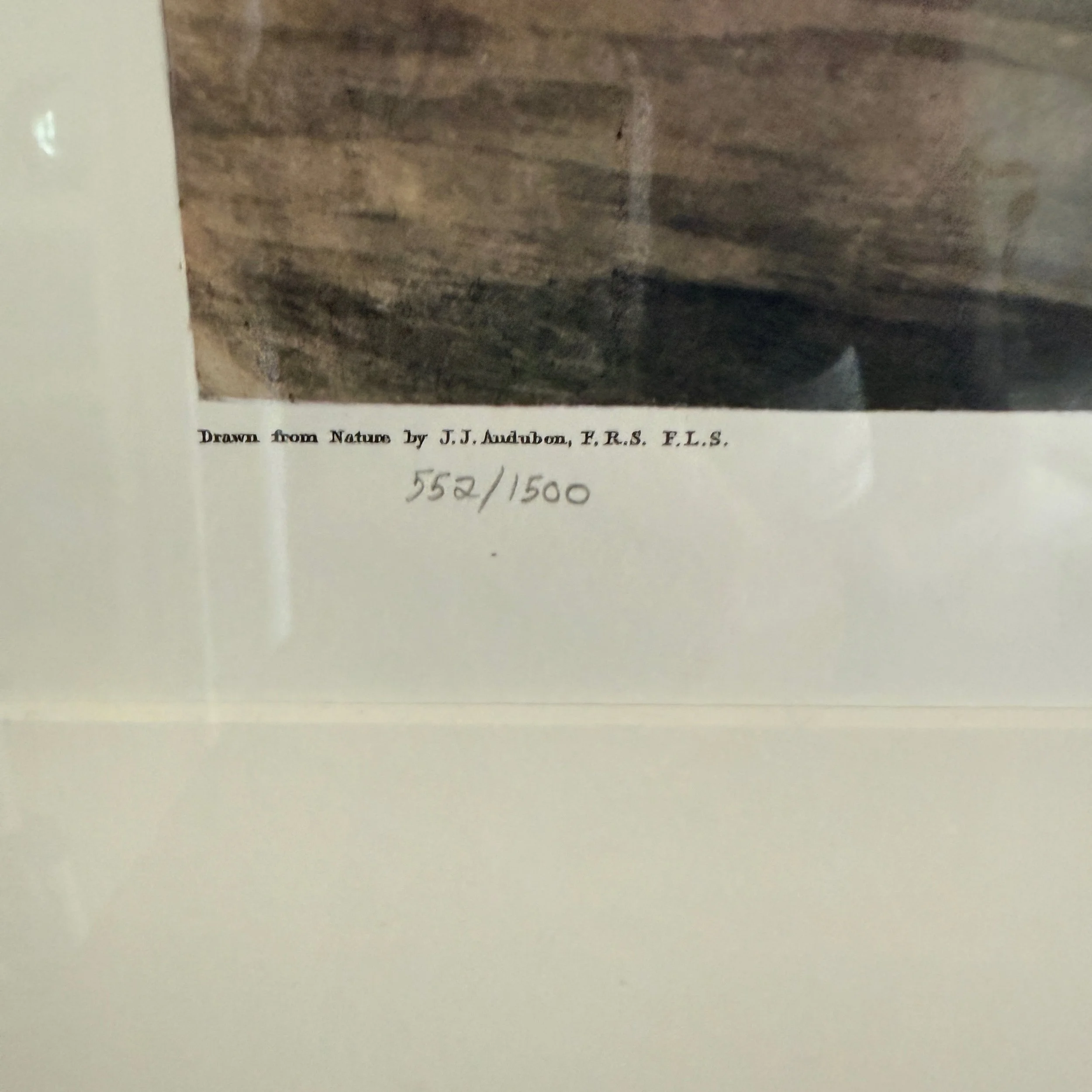 IMG_0829.jpeg