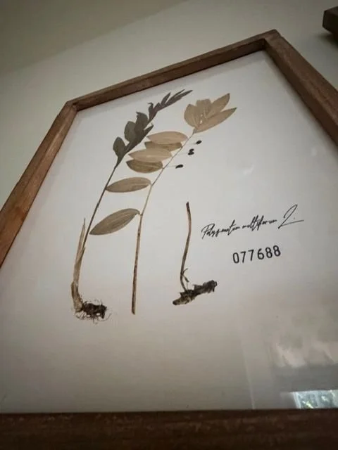 HuffmanBotanicals8.jpeg