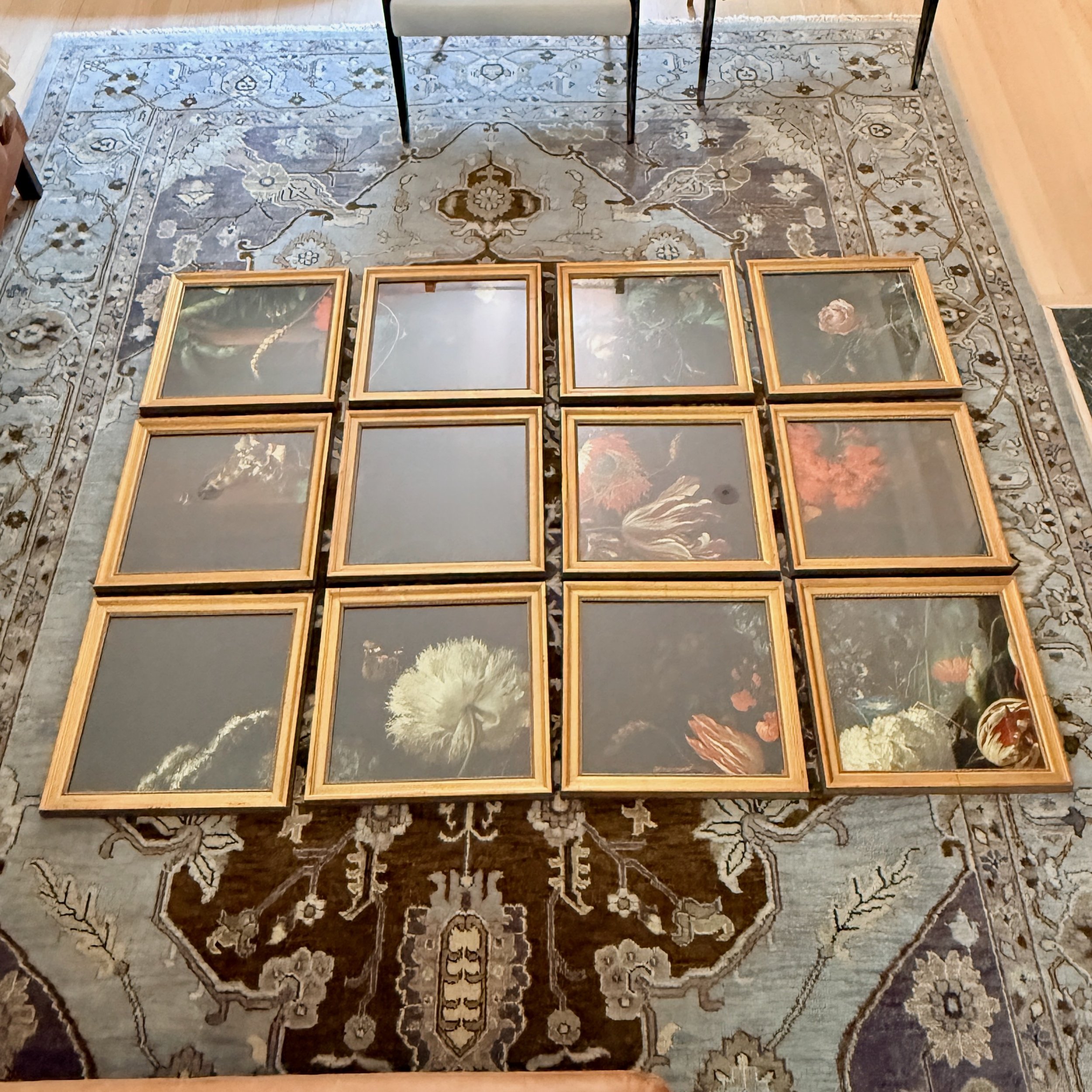 Set of 12 Framed Dark Botanicals 