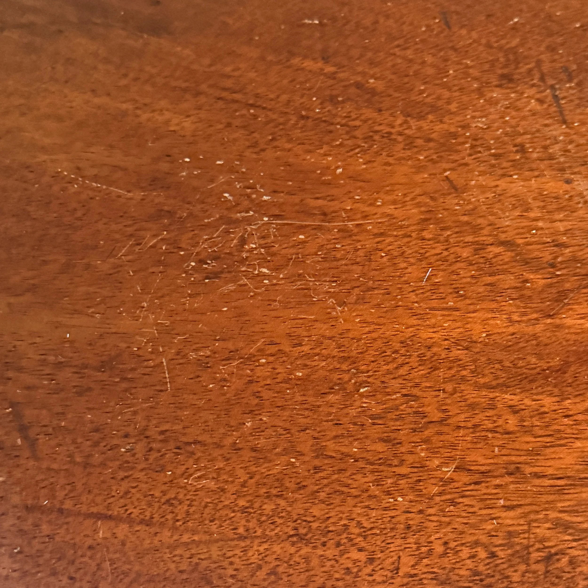 IMG_2449 (1).jpeg