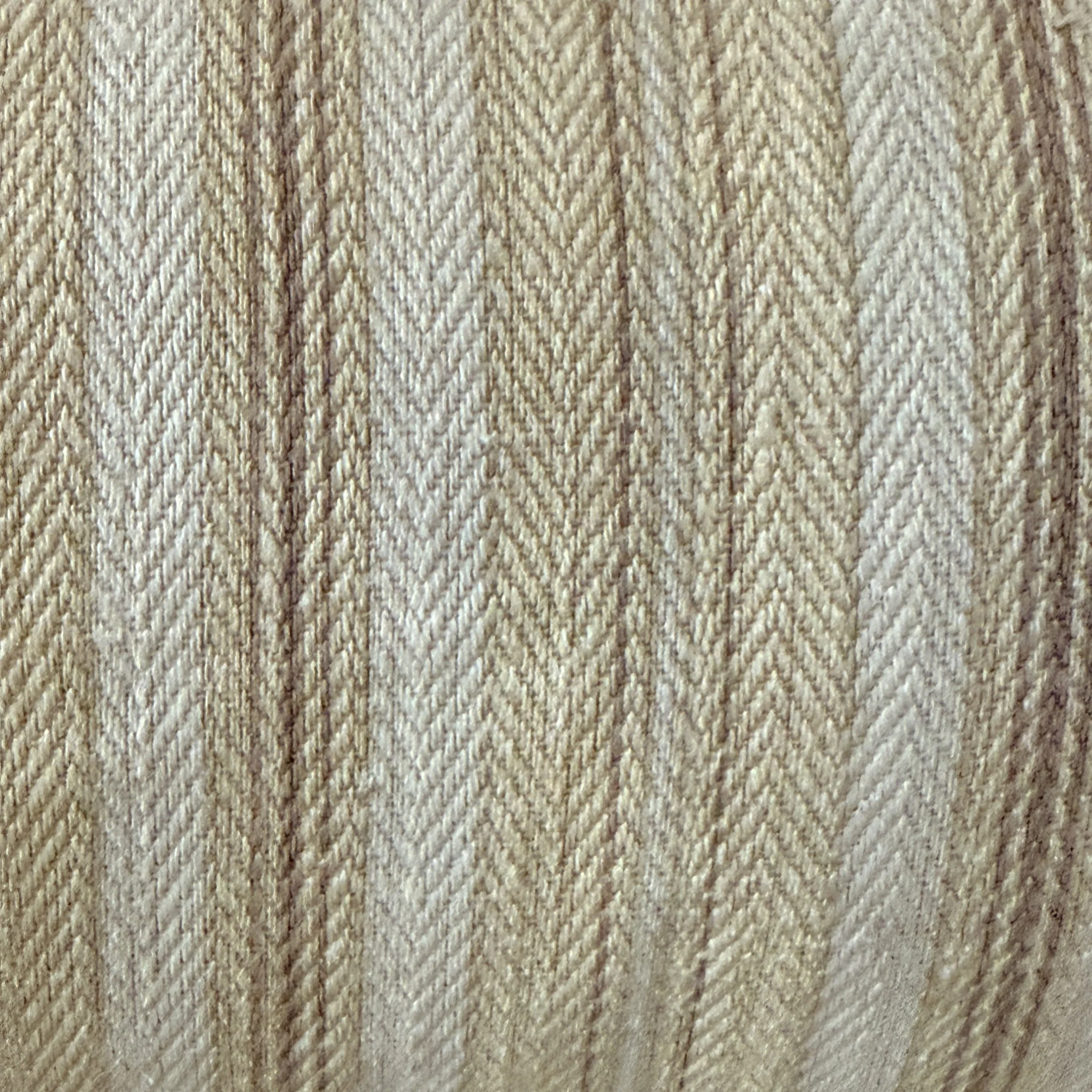 IMG_5229.jpeg
