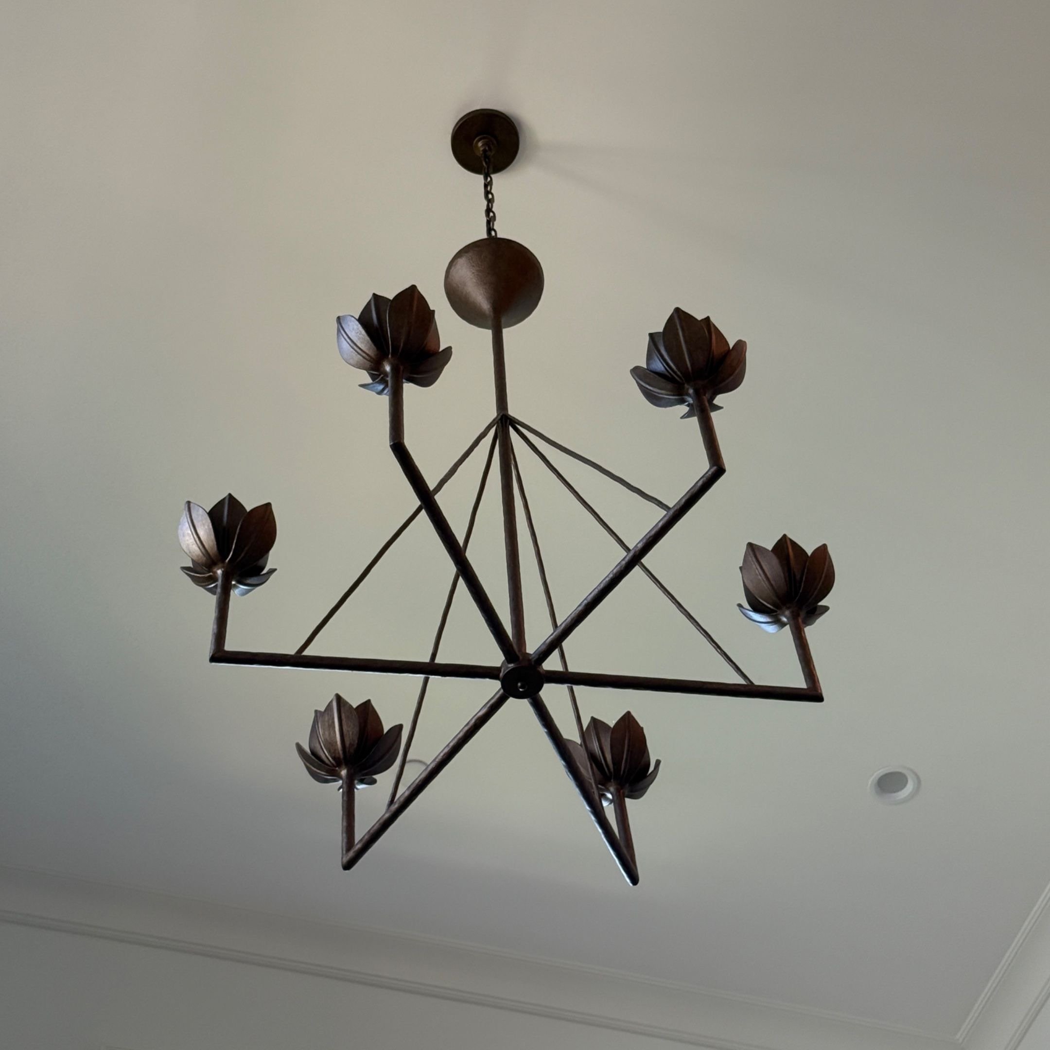 Image 49.jpeg