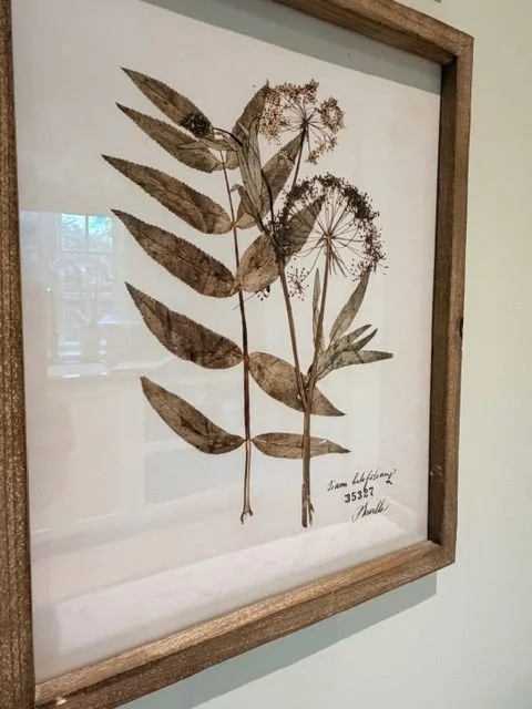 HuffmanBotanicals7.jpeg