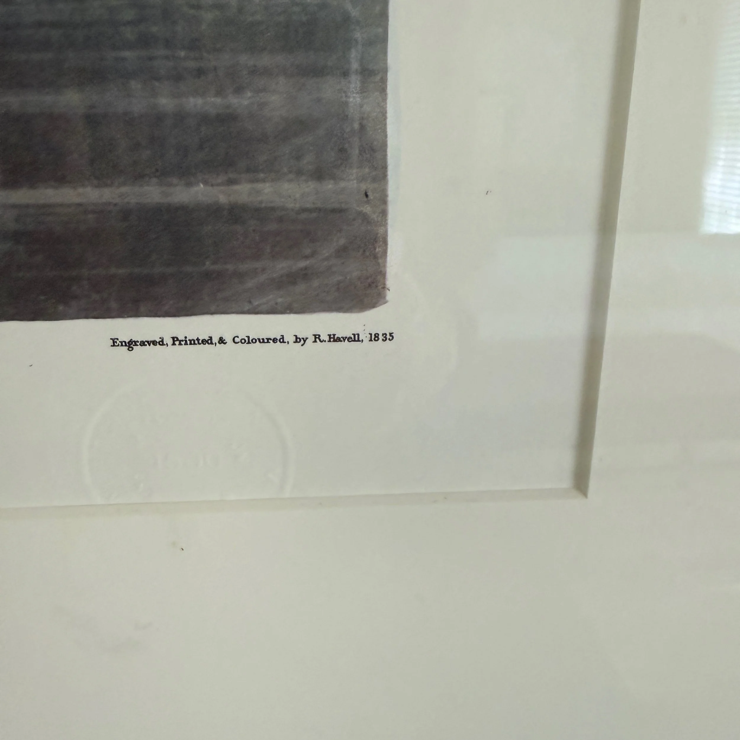 IMG_0826.jpeg