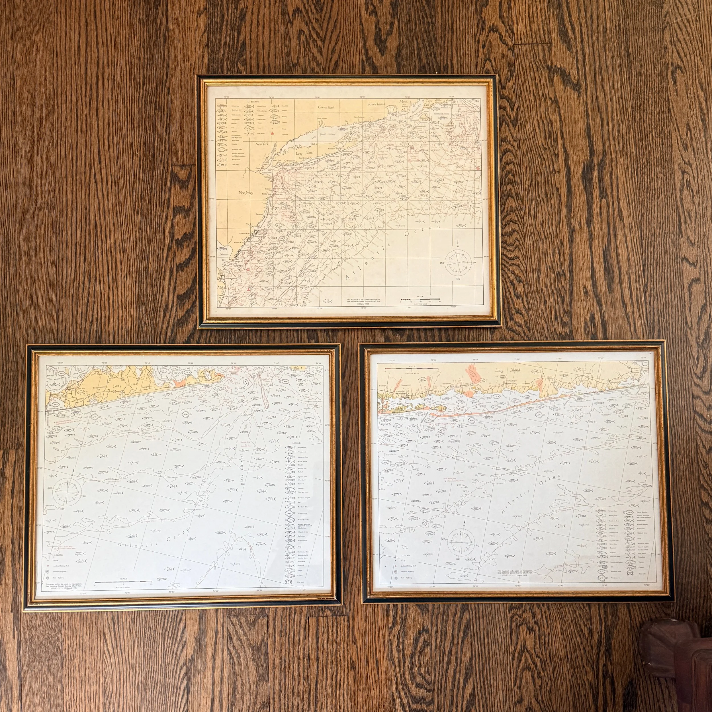 Set of 3 Framed Fish Nautical Charts