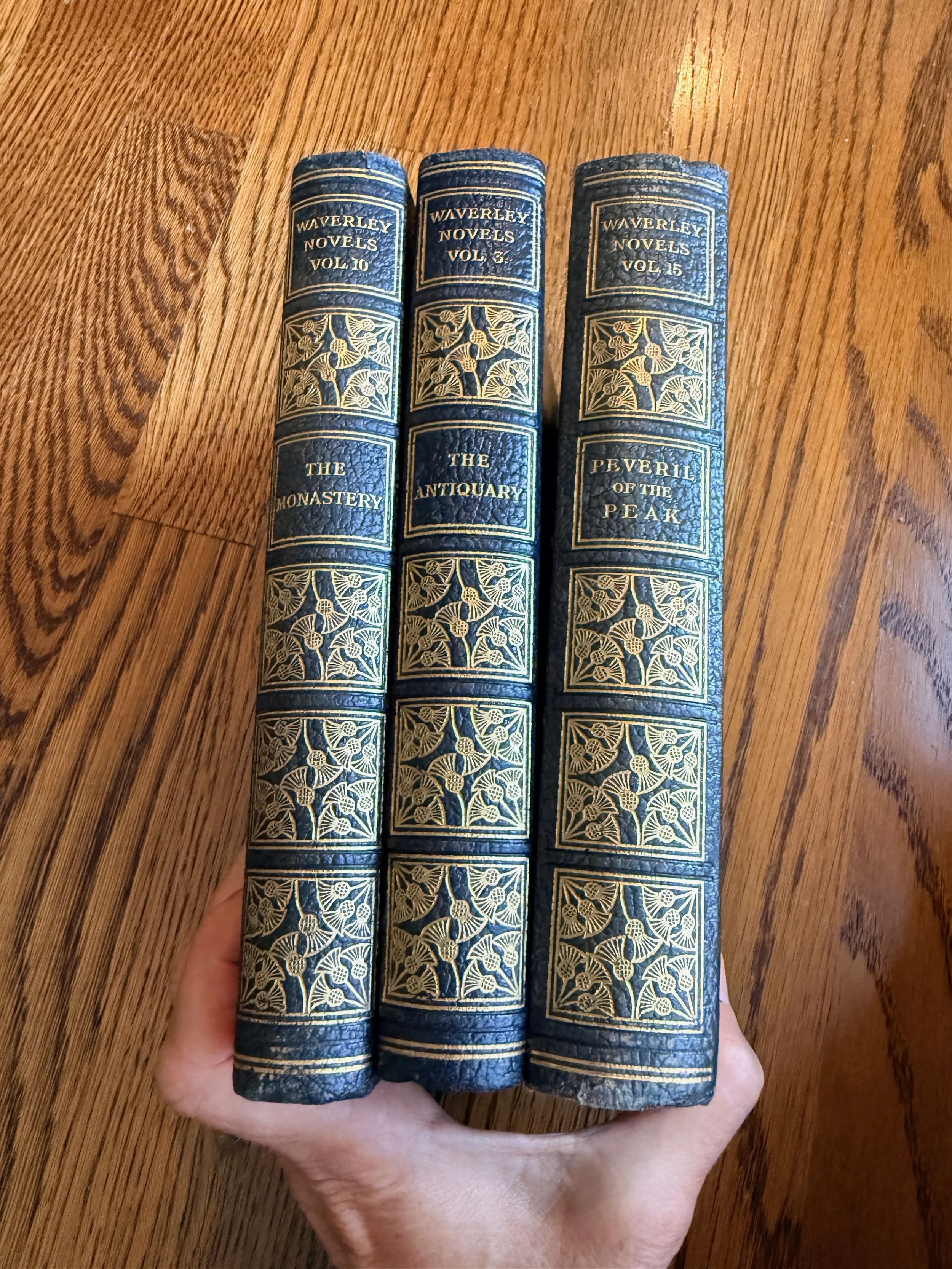 Set of 3 Waverly Editions Antique Books--NASHVILLE