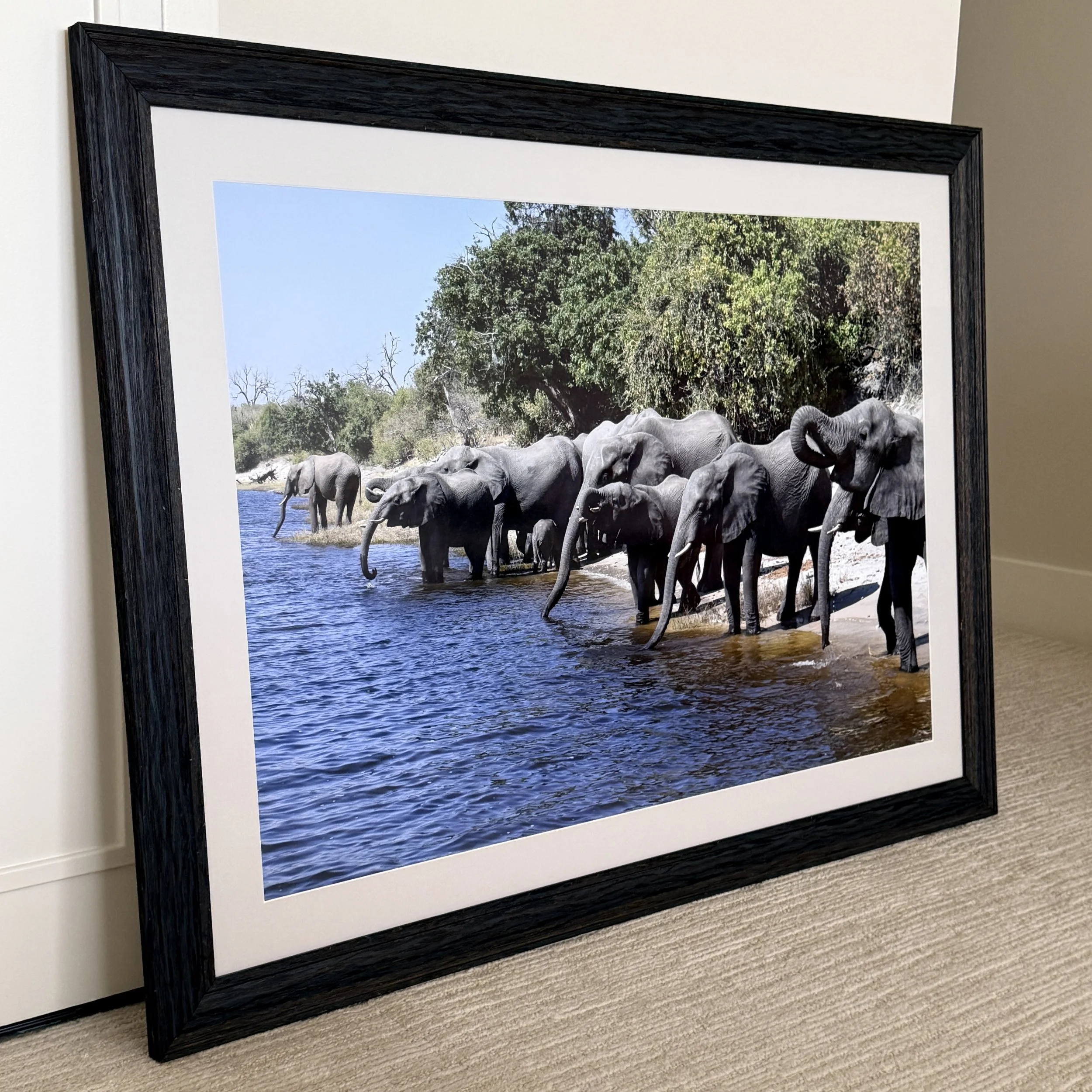 Framed Elephant Photograph