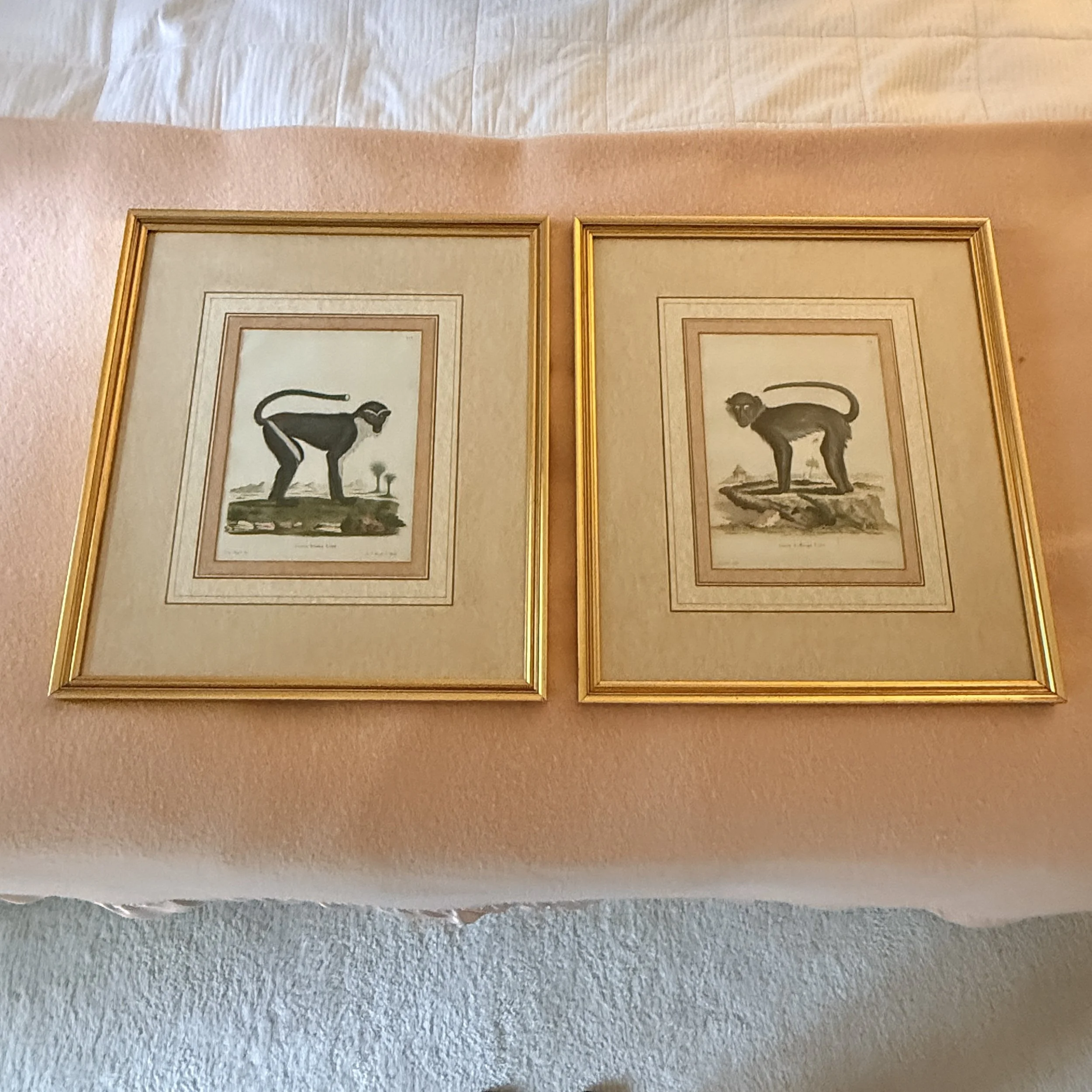 Pair of Vintage Monkey Prints 