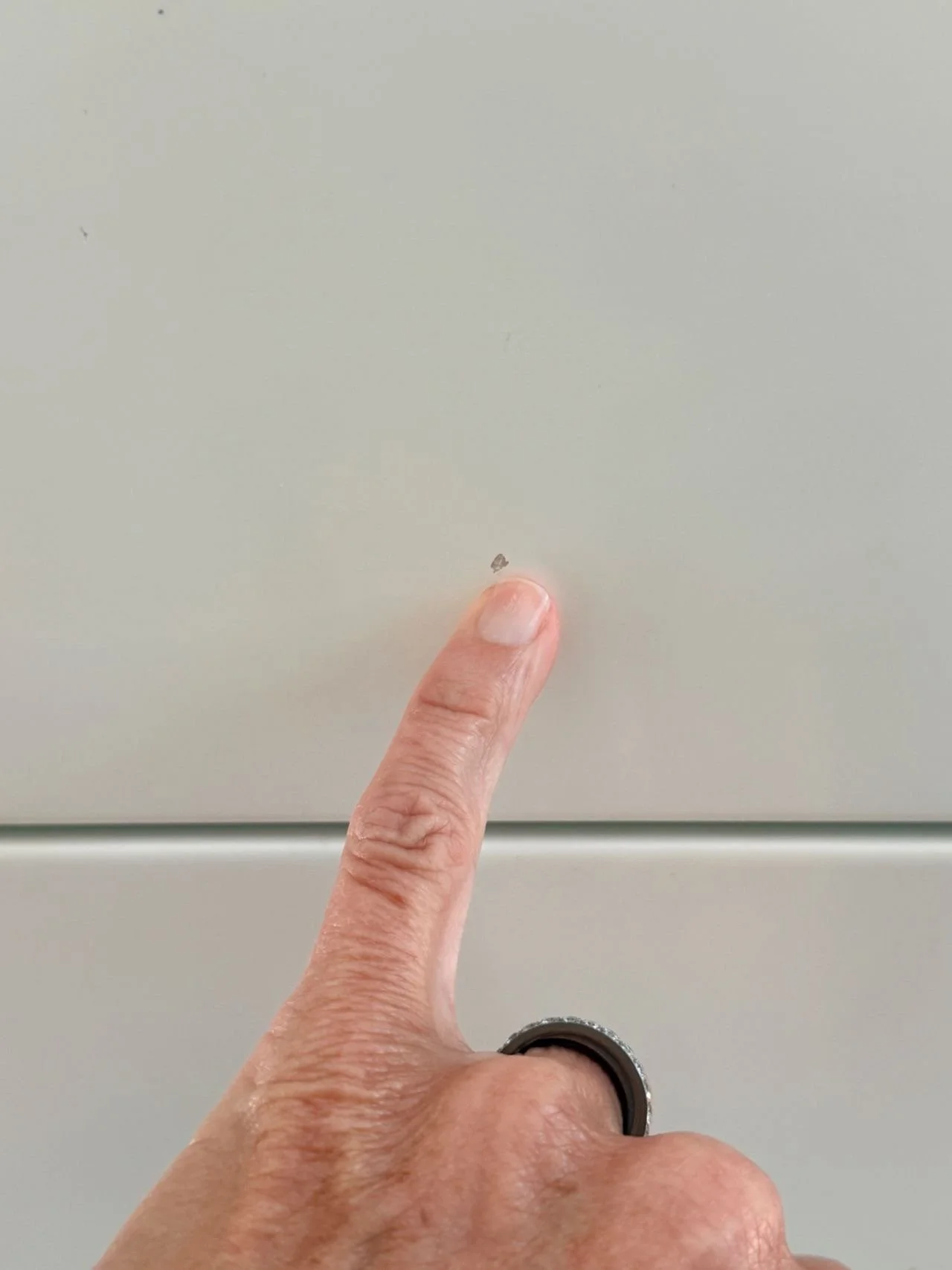 Image 2.jpeg