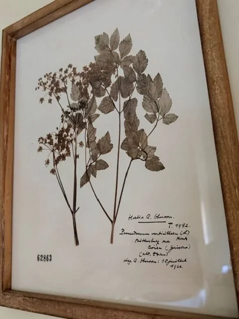 HuffmanBotanicals6.jpeg