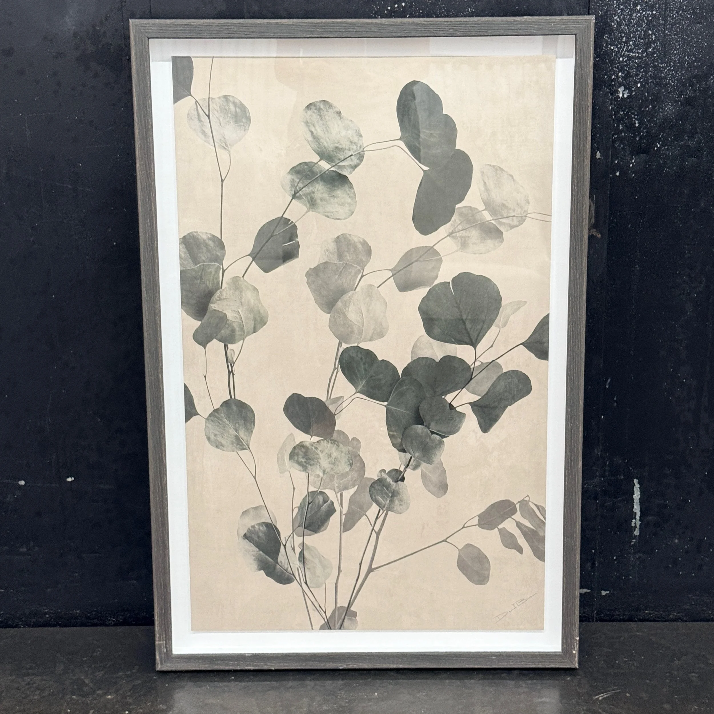 Framed Eucalyptus Dream 