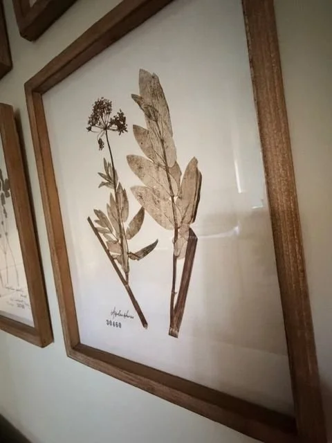 HuffmanBotanicals5.jpeg