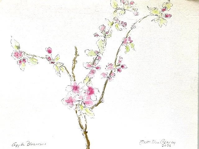 Apple Blossoms