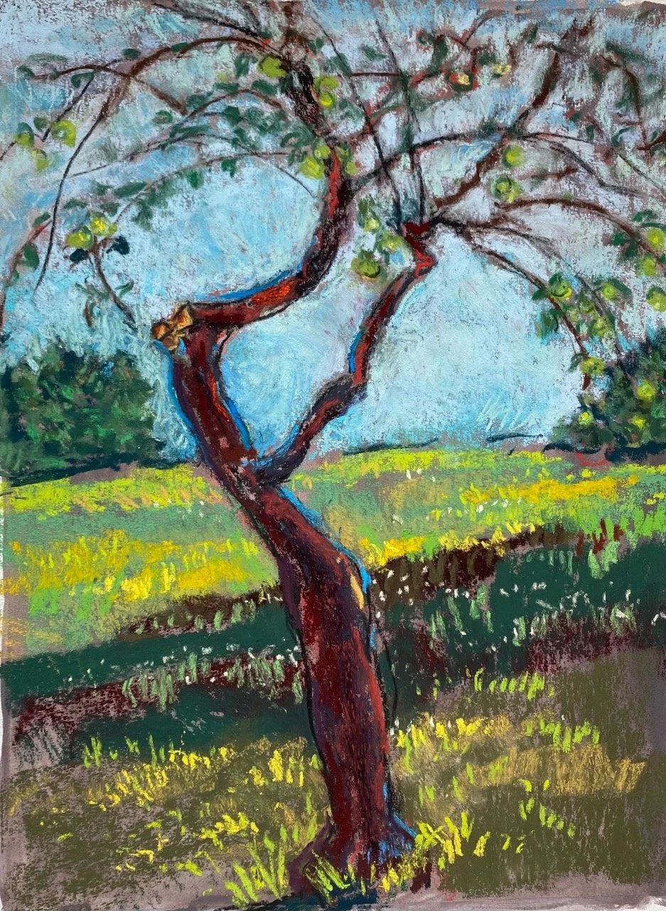 Apple Tree 12" x 9" Pastel