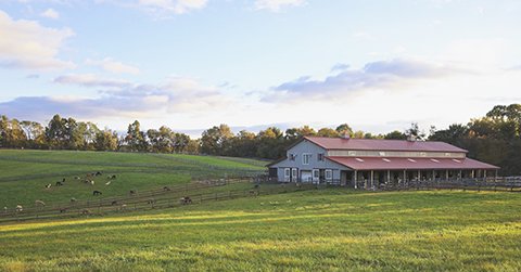 Farm Fall 2018 web copy 2.jpg