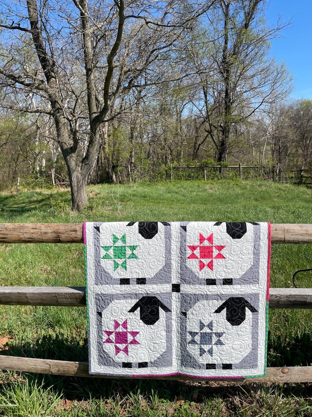 Wooly Stars On Fence.jpg