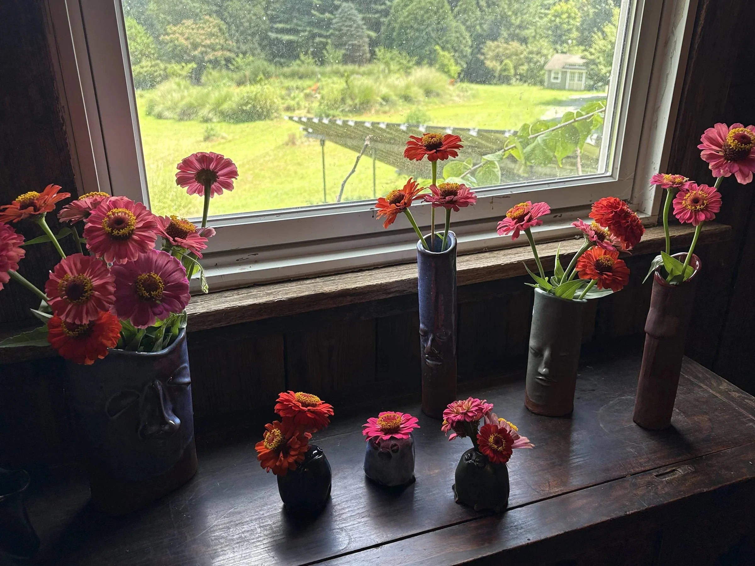 IMG_7424_1753803816.jpeg