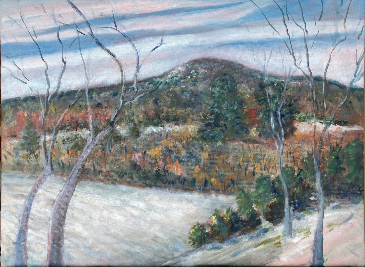 SnowyDayonSugarloaf.jpeg