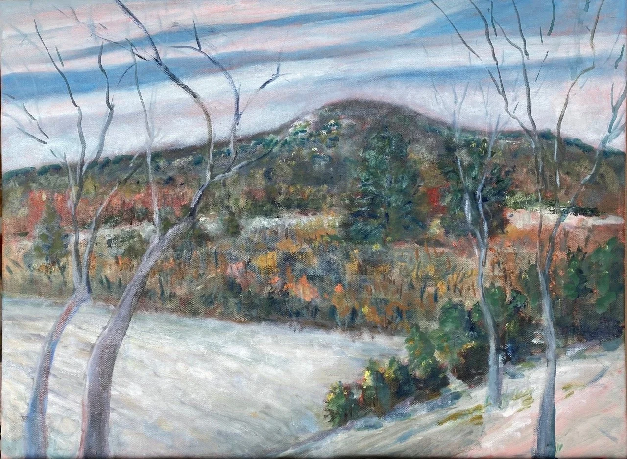 Snowy Day in February artwork by Susan Due Pearcy