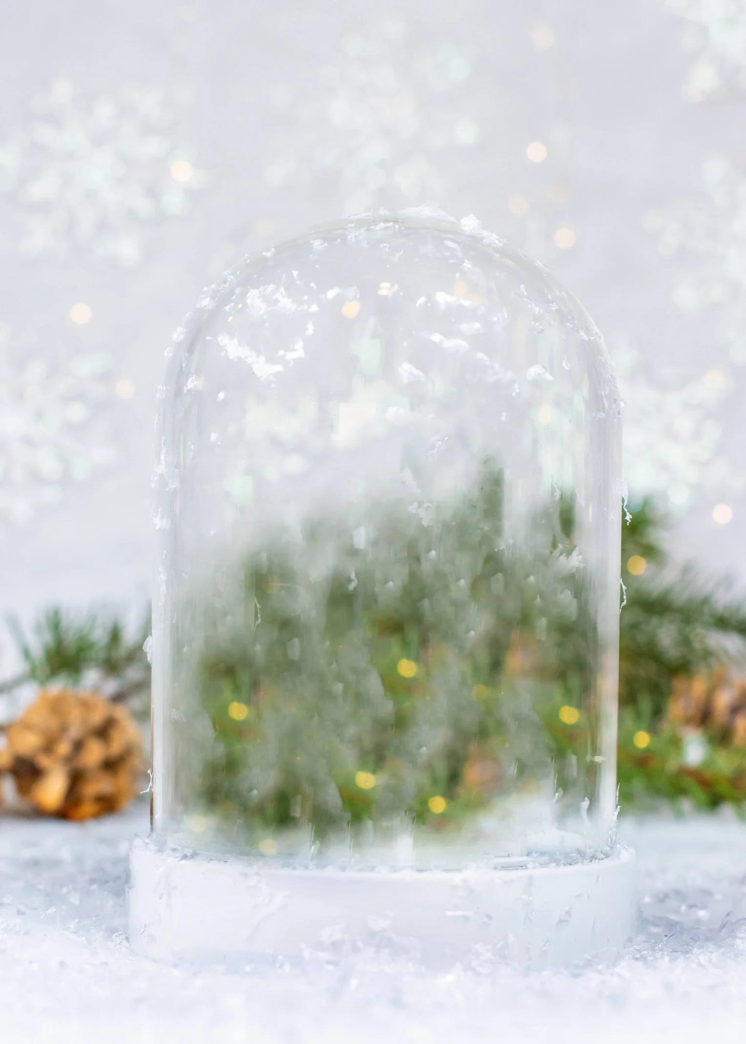 snow globe background small.jpg